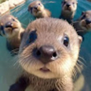 Meet your Posher, Jeanne